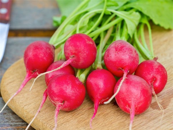 8 thực phẩm giúp điều trị bệnh trĩ hiệu quả - Ảnh 2.