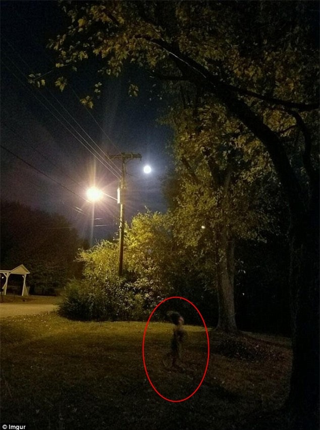 Sinh vật kỳ bí xuất hiện đêm trăng tròn khiến cả mạng xã hội tá hỏa - Ảnh 1.