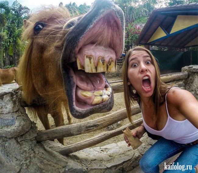 cuoi vo bung voi hinh anh buon cuoi nhat tren doi hinh anh 11