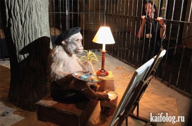 cuoi vo bung voi hinh anh buon cuoi nhat tren doi hinh anh 2