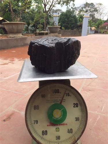 Khối gỗ ngọc am hóa thạch đổi màu, trả trăm triệu chưa bán