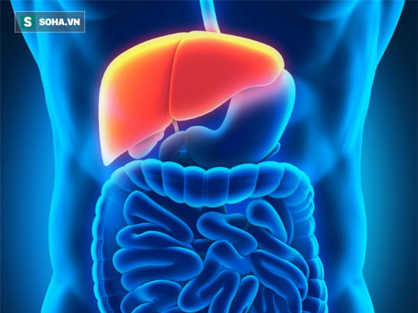 Nước mướp đắng trộn mật ong uống trước khi ăn sáng: 7 công dụng bất ngờ! - Ảnh 1.