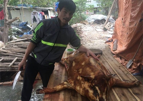 Dịch vụ mổ thịt lợn thuê lên ngôi (ảnh chụp tại Nam Từ Liêm, Hà Nội).  Ảnh: Gia Tưởng