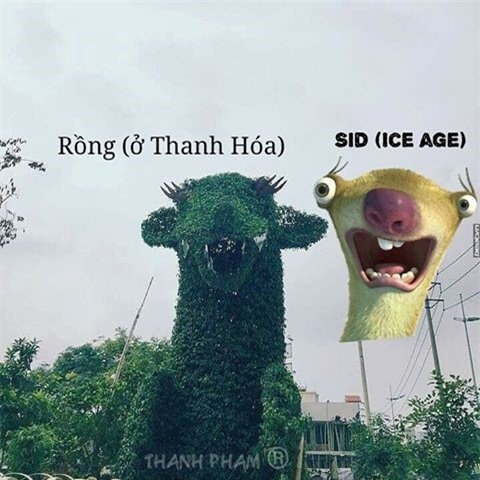 Rong Thanh Hoa tro thanh chu de che anh tren mang hinh anh 4