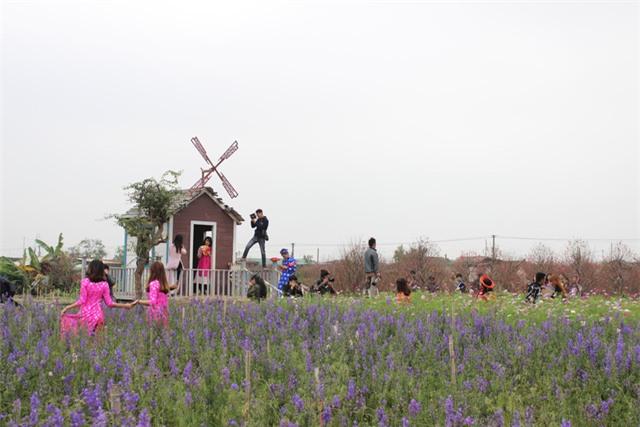 Cứ đến dịp giáp Tết, người dân Thủ đô lại kéo nhau đến vườn đào Nhật Tân (Tây Hồ, Hà Nội) để chụp những bức hình đẹp nhất để chào đón năm mới.