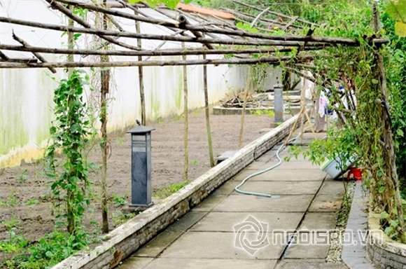 Không phải Đàm Vĩnh Hưng hay Lý Nhã Kỳ, đây mới là những sao Việt đại gia về nhà đất -13