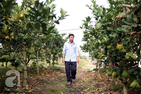 Hà Nội: 2,5 triệu đồng một quả phật thủ... 40 tay - Ảnh 15.