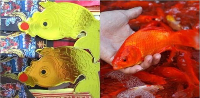 cung ong Cong ong Tao 1-