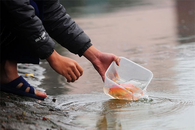 cung ong Cong ong Tao 2-