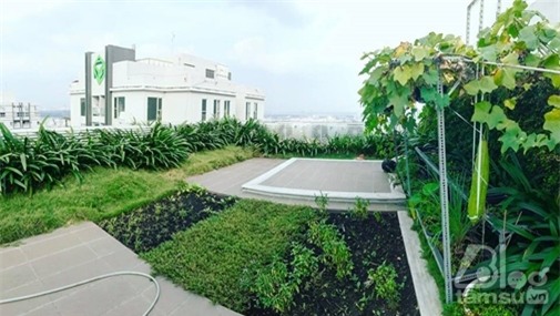 ngoc-trinh-ban-chung-cu-cao-cap-blogtamsuvn8