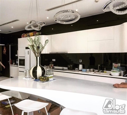 ngoc-trinh-ban-chung-cu-cao-cap-blogtamsuvn7