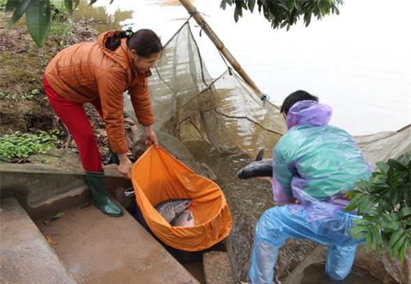 Bí mật 10 loại gia vị có trong nồi cá kho làng Vũ Đại