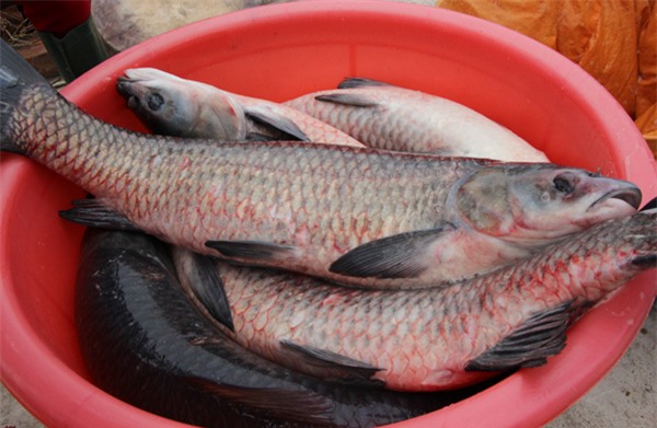 Bí mật 10 loại gia vị có trong nồi cá kho làng Vũ Đại