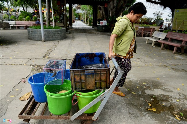 Mua 80 kg rua gia 25 trieu ra song Sai Gon phong sinh hinh anh 11