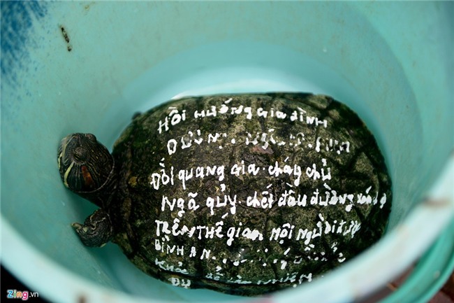 Mua 80 kg rua gia 25 trieu ra song Sai Gon phong sinh hinh anh 12