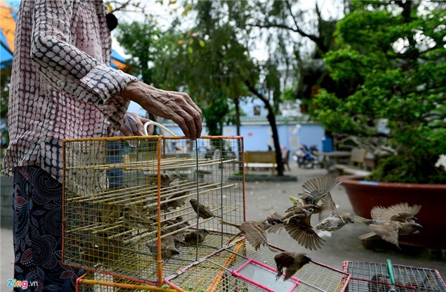Mua 80 kg rua gia 25 trieu ra song Sai Gon phong sinh hinh anh 13