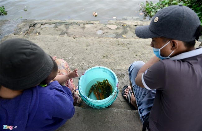 Mua 80 kg rua gia 25 trieu ra song Sai Gon phong sinh hinh anh 14