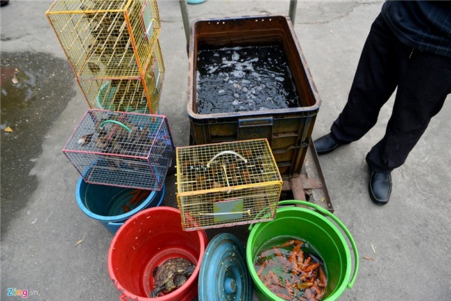 Mua 80 kg rua gia 25 trieu ra song Sai Gon phong sinh hinh anh 17