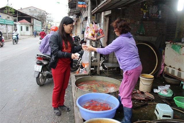 Chị Huyền, tiểu thương tại chợ Lĩnh Nam cho biết chị nhập 10 kg cá chép đỏ giá 180.000 đồng/kg tại chợ Yên Sở từ chiều 22 âm lịch. Được biết chị bán lẻ 40.000 đồng/ bộ 3 con.