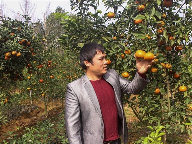 9X tật nguyền thu tiền tỷ nhờ vườn ươm cây giống xuất ngoại