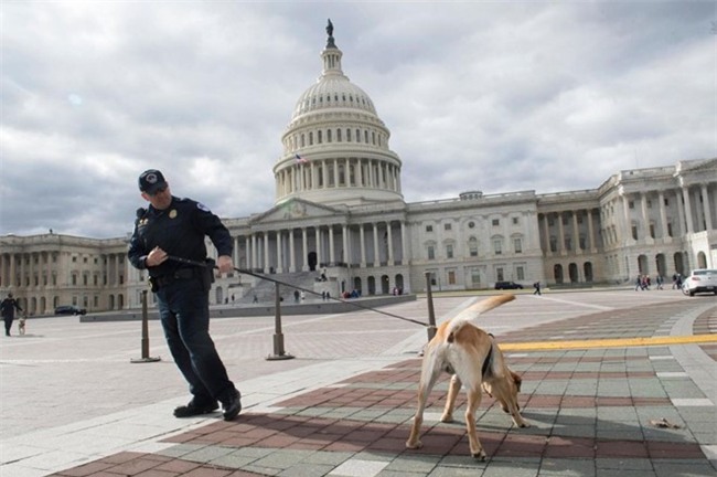 Nhung diem kich tinh va hap dan trong ngay Trump nham chuc hinh anh 1