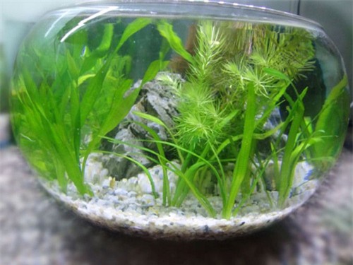 khong do noi voi nhung "chieu doc" vo buoc chong bo nhau ve nha - 2