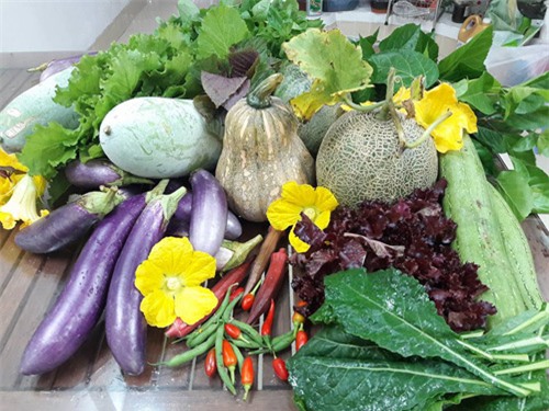 vuon rau sach don tet cua ba me sai thanh khien chi em them thuong hinh anh 1