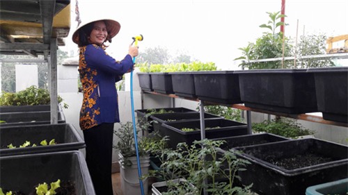 vuon rau sach don tet cua ba me sai thanh khien chi em them thuong hinh anh 2