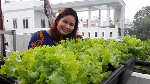 vuon rau sach don tet cua ba me sai thanh khien chi em them thuong hinh anh 5