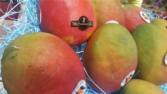 Thanh long vàng Malaysia, xoài đỏ Nhật: Quả lạ cúng Tết ông bà