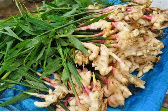 viêm mũi, chữa viêm mũi, chữa viêm mũi tại nhà