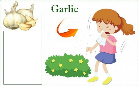 viêm mũi, chữa viêm mũi, chữa viêm mũi tại nhà