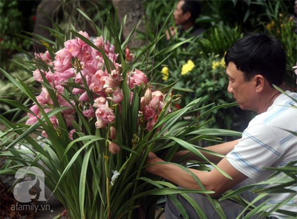 Giáp Tết nhiều người ngậm đắng, nuốt cay mua phải cây, hoa giả nhiều nụ, giá rẻ - Ảnh 8.