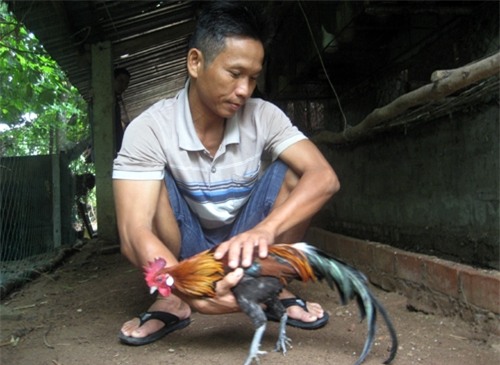 thu-100-trieu-dong-tu-7-qua-trung-ga-rung