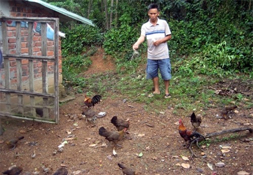 thu-100-trieu-dong-tu-7-qua-trung-ga-rung-2