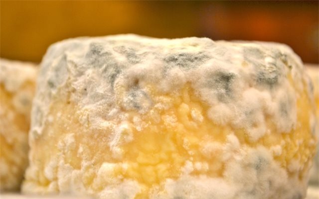 Cứ tiếp tục ăn những loại thực phẩm này, đừng hỏi vì sao gan chết mòn - Ảnh 3.