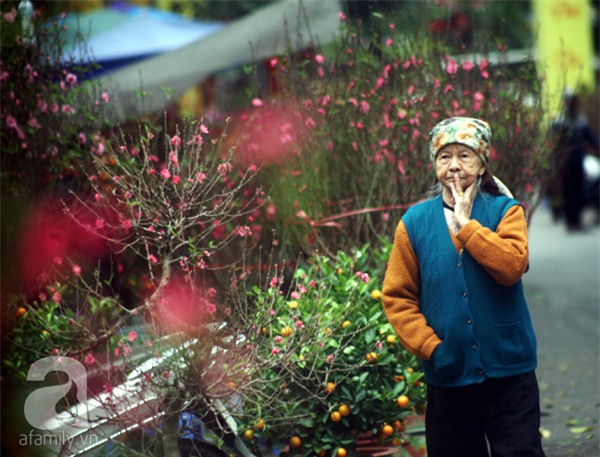 Người Hà Nội náo nức đi chợ hoa cổ nhất Hà Thành để mua sắm và chơi Tết - Ảnh 2.
