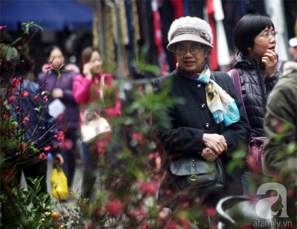 Người Hà Nội náo nức đi chợ hoa cổ nhất Hà Thành để mua sắm và chơi Tết - Ảnh 3.