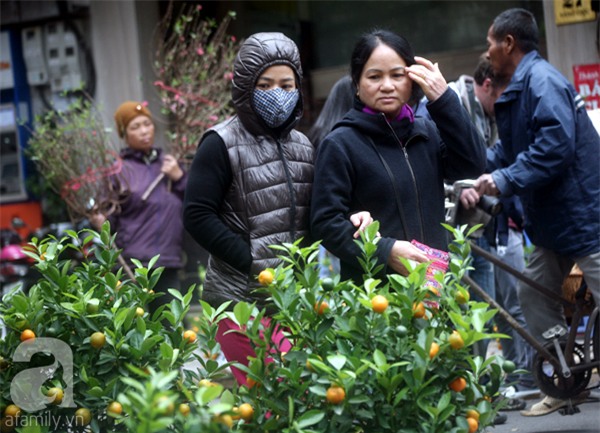 Người Hà Nội náo nức đi chợ hoa cổ nhất Hà Thành để mua sắm và chơi Tết - Ảnh 5.