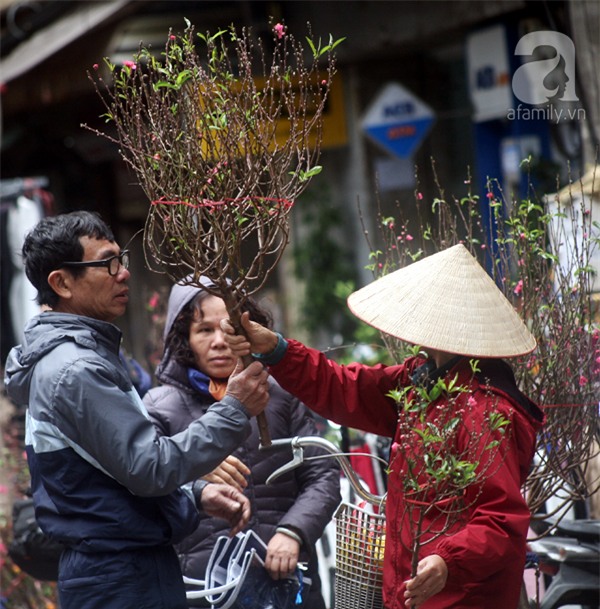 Người Hà Nội náo nức đi chợ hoa cổ nhất Hà Thành để mua sắm và chơi Tết - Ảnh 7.