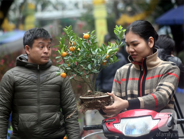 Người Hà Nội náo nức đi chợ hoa cổ nhất Hà Thành để mua sắm và chơi Tết - Ảnh 8.