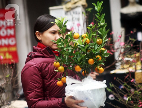 Người Hà Nội náo nức đi chợ hoa cổ nhất Hà Thành để mua sắm và chơi Tết - Ảnh 9.