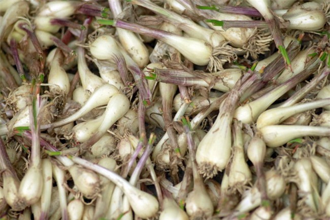 Cứ thấy những thứ này là cảm nhận ngay được vị Tết Sài Gòn - Ảnh 2.