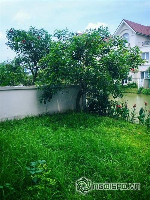 sao việt, nhà sao việt, không gian nhà sao việt, sao việt tậu nhà, sao mua nhà 2016