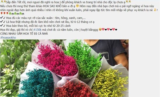 Hoa sao khô tẩm phẩm màu độc hại 'bung lụa' dịp Tết