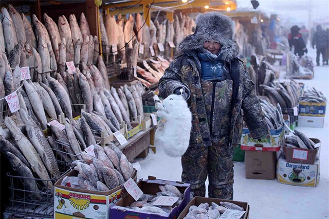 Chợ trung tâm ở Yakutsk đầy ắp cá và thịt vì không loại cây nào có thể phát triển ở đó