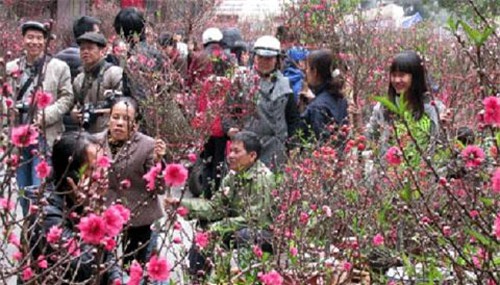 tin moi nhat ve dot khong khi lanh tang cuong ngay can tet - 1