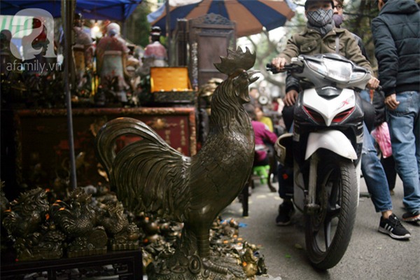 Hà Nội: Xuất hiện gà đồng cao hơn 1 mét nặng 30kg, giá 25 triệu đồng - Ảnh 1.