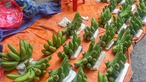 Giáp Tết, chuối xanh tăng giá từ 20.000 lên 200.000 đồng