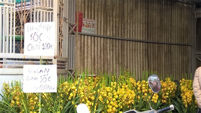 Với việc giảm giá mạnh như vậy, mức giá địa lan Trung Quốc đã đánh bại địa lan trong nước về mức giá. Bên cạnh đó, việc giảm giá nhanh, liên tục có thể địa lan Trung Quốc nhập giá gốc còn rẻ hơn nữa.